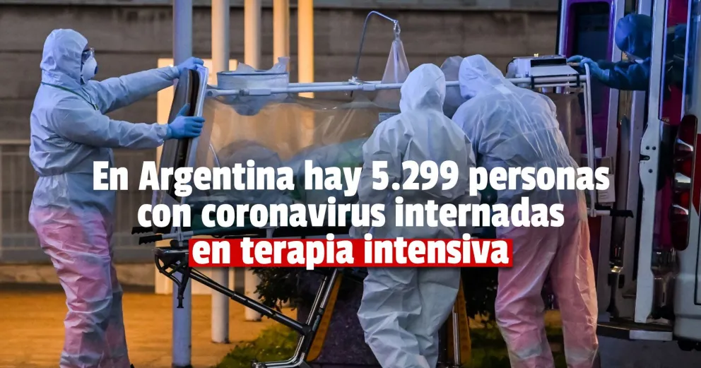 Confirmaron 399 nuevas muertes y 24.086 contagios en las últimas 24 horas