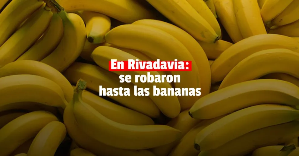 Desde un picaporte hasta bananas: dos delincuentes ingresaron a un barrio y robaron todo a su paso