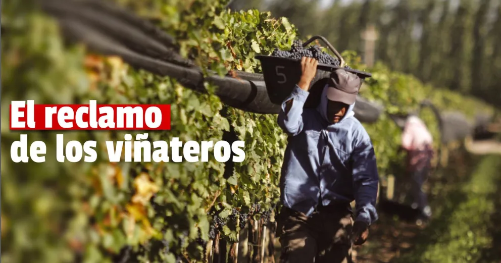 Viñateros se oponen a que se anticipe la liberación de los vinos