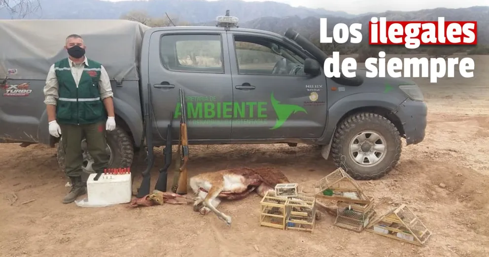 Ambiente hizo 18 actas por depredación de flora y fauna: captura de aves, cacería y corte de leña