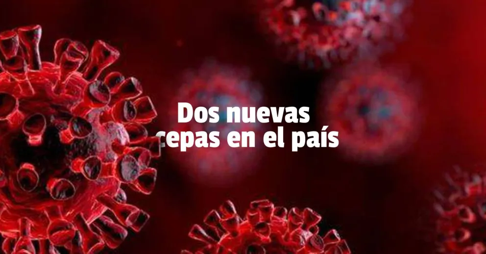 Coronavirus: detectaron la cepa de India y Sudáfrica en Argentina