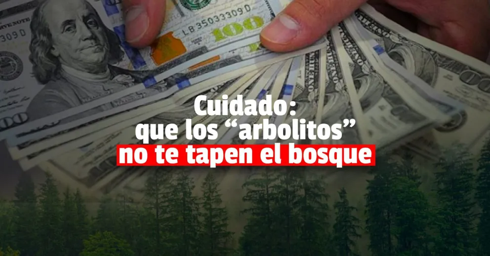 Alertan por estafas en la compra-venta de dólares