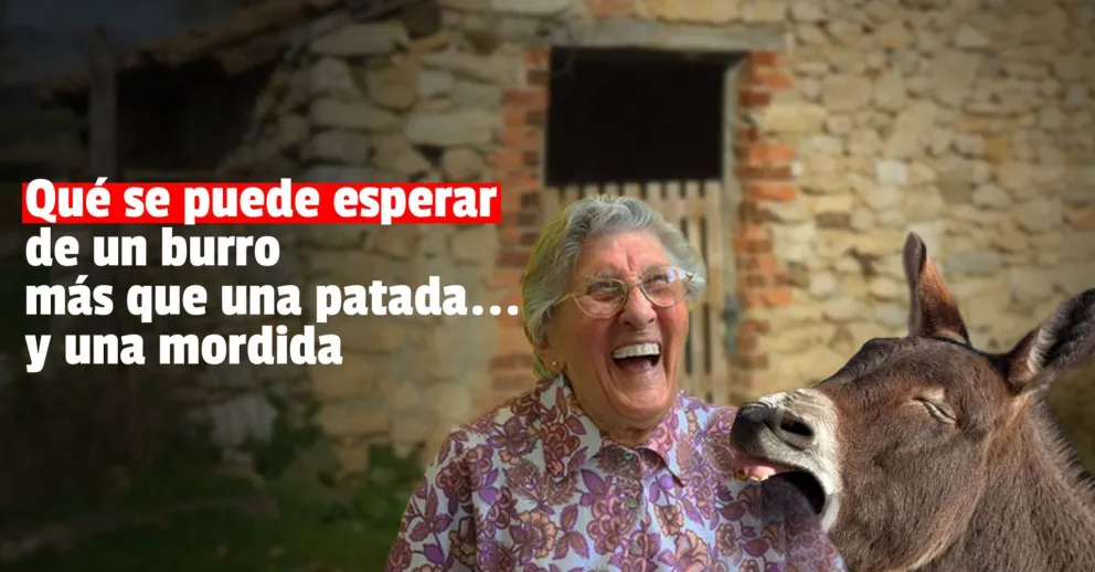 Una anciana terminó hospitalizada tras ser mordida por un burro