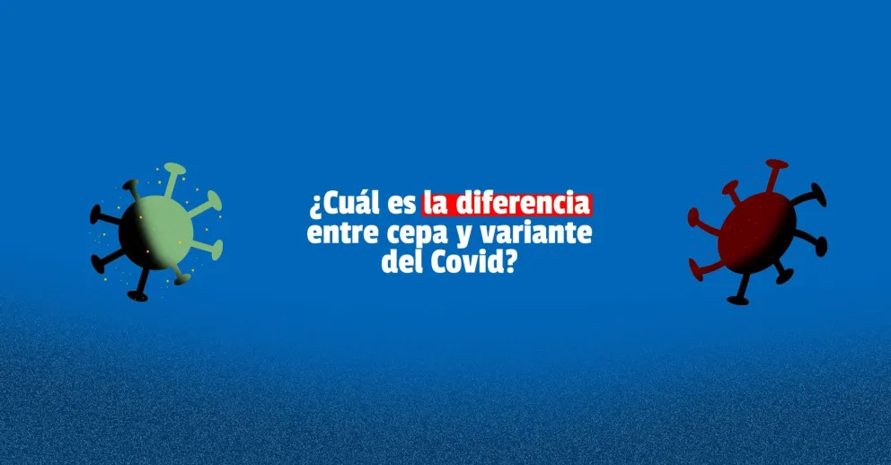 Desde Salud señalaron la diferencia entre nuevas variantes y cepas del Covid