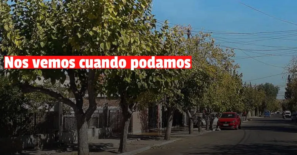 Se retrasa el inicio del periodo de poda