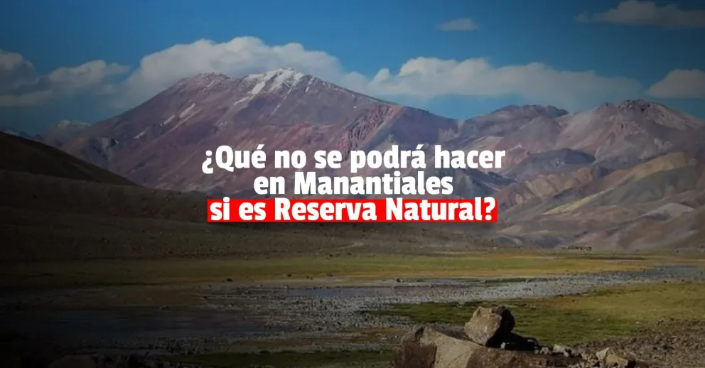 ¿Qué dice el proyecto que quiere convertir a Manantiales en Reserva Natural?