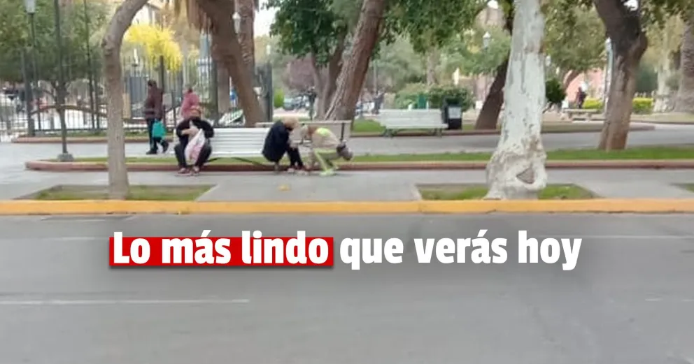 El gesto de una monitora urbana: le ató los cordones a una anciana