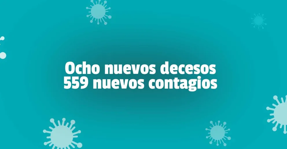 Tras el récord pre-fase1, San Juan registró ocho muertes y 559 nuevos casos