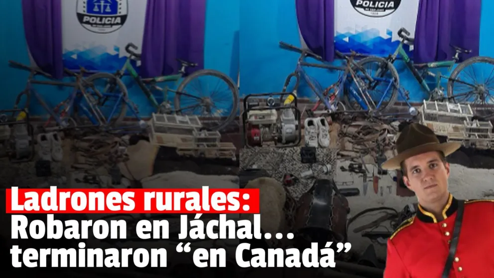 Una banda de delincuentes tras las rejas luego de desvalijar una finca