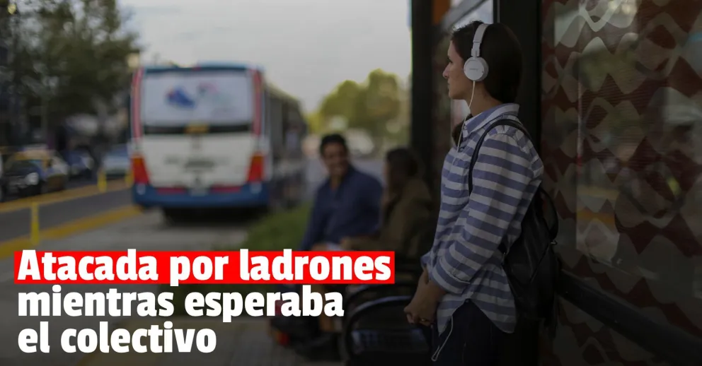 Una mujer se dirigía a tomar el colectivo y fue atacada por dos ladrones