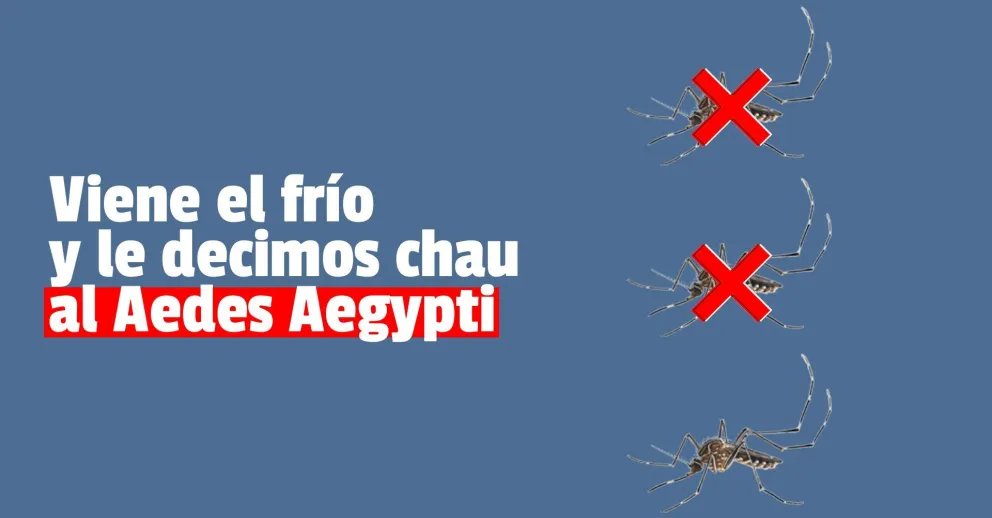 San Juan cerrará una temporada sin circulación de dengue