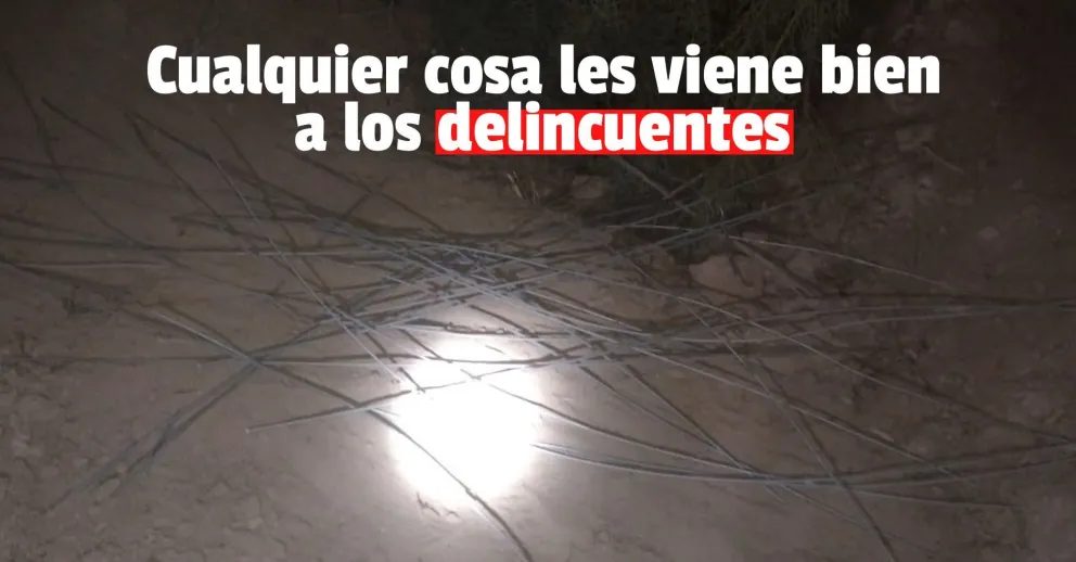Frustraron un robo en una finca de Las Chacritas