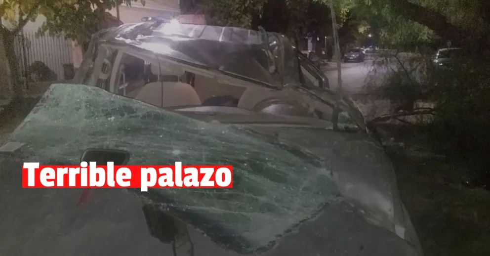 Perdió el control de su vehículo, volcó y terminó chocando contra un árbol