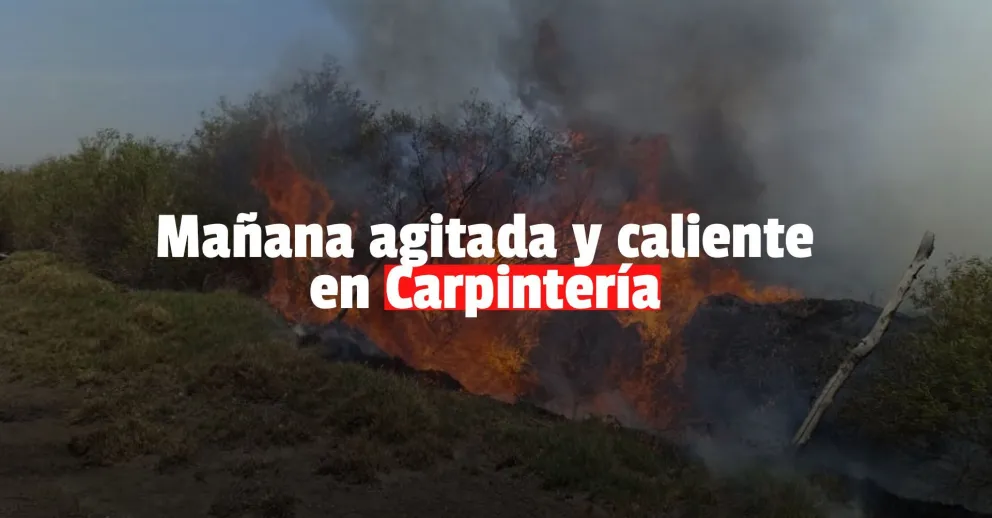 Un incendio consumió más de 80 hectáreas en Pocito