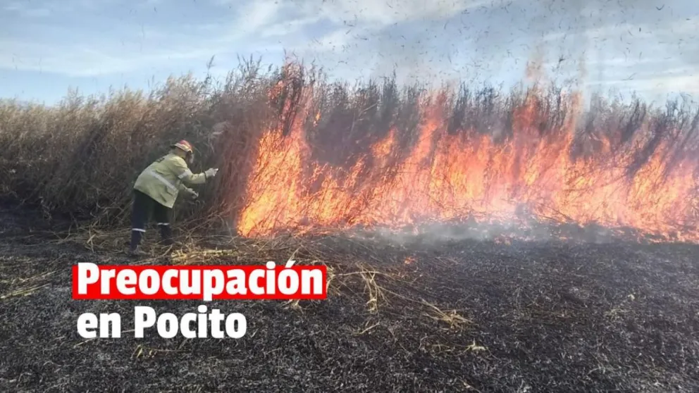 Un importante incendio de pasturas causó preocupación entre los vecinos de Pocito
