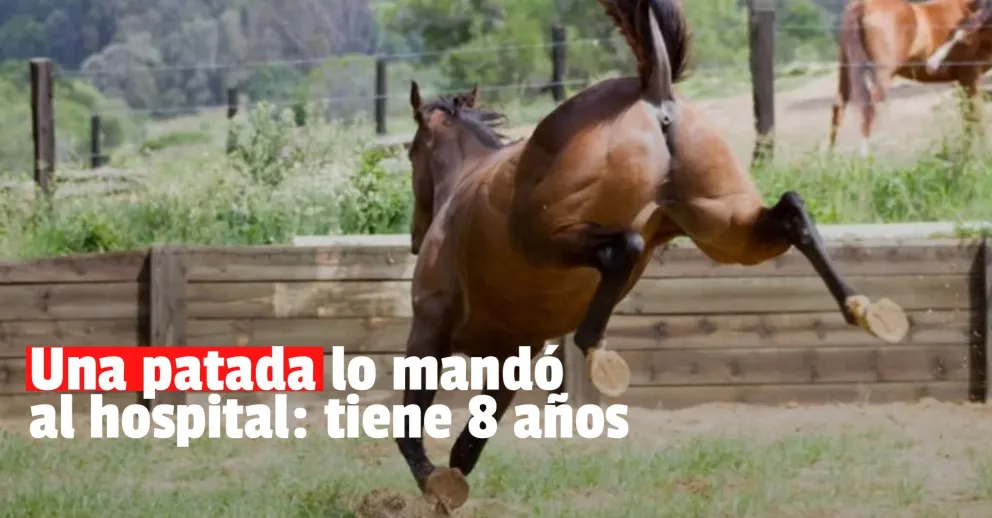 Un caballo pateó a un nene de 8 años y le hundió el cráneo