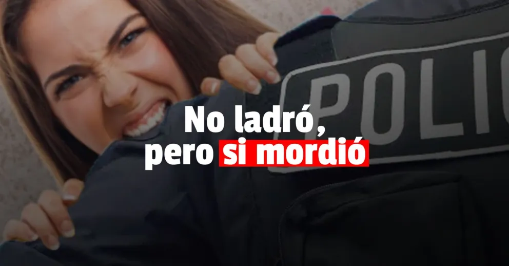 Detuvieron a una mujer, se ofuscó y mordió a una policía