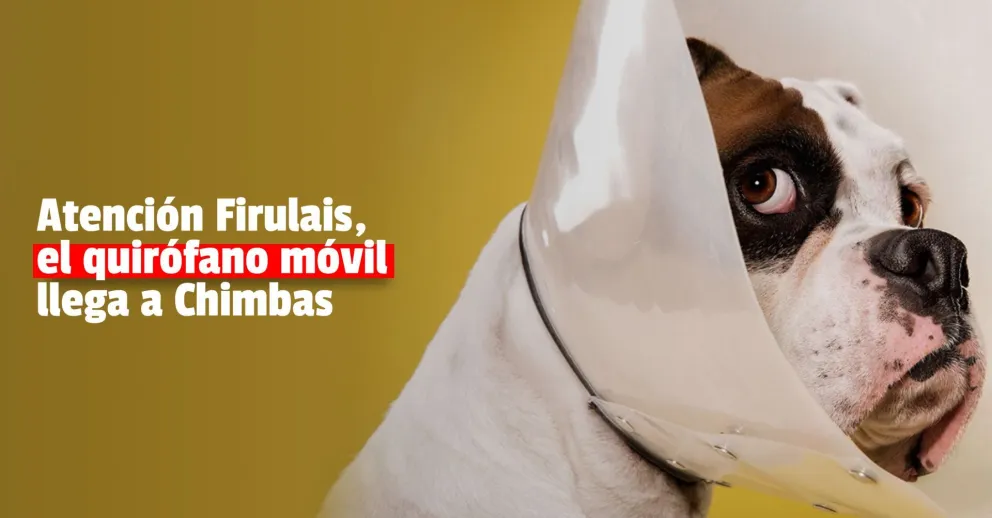 El quirófano móvil llega a Chimbas