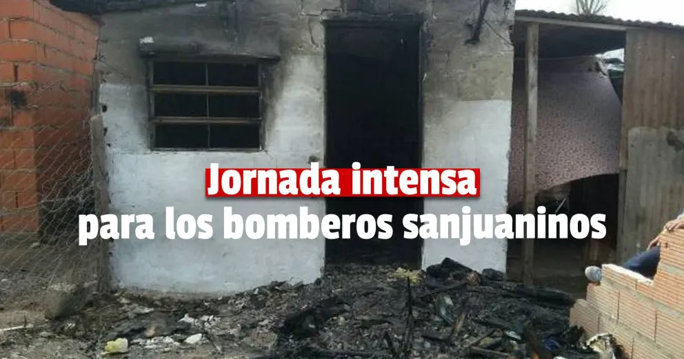 Tres incendios en una tarde: tres perros y un gato murieron producto de las llamas