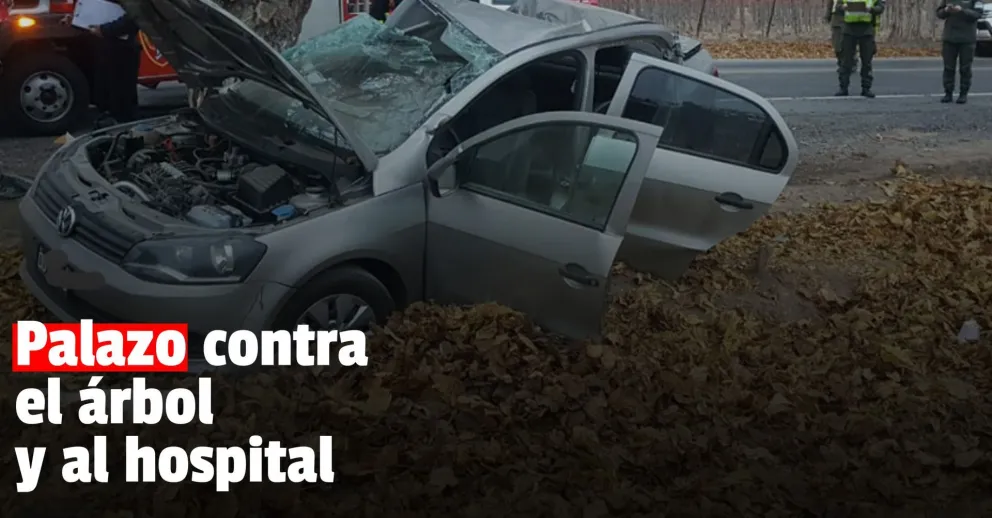 Una mujer se estrelló contra un árbol y terminó en el hospital
