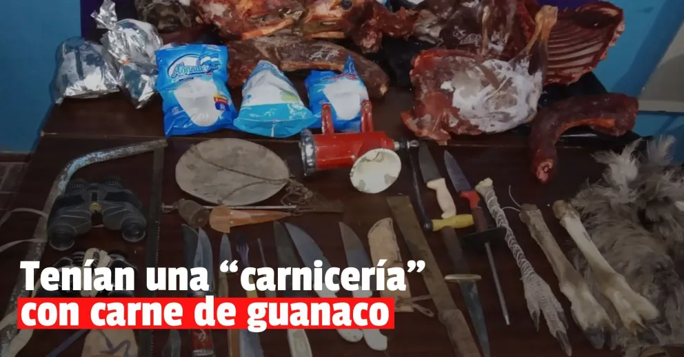 Allanamientos en Jáchal: encontraron armas y carne de guanaco en varios freezers