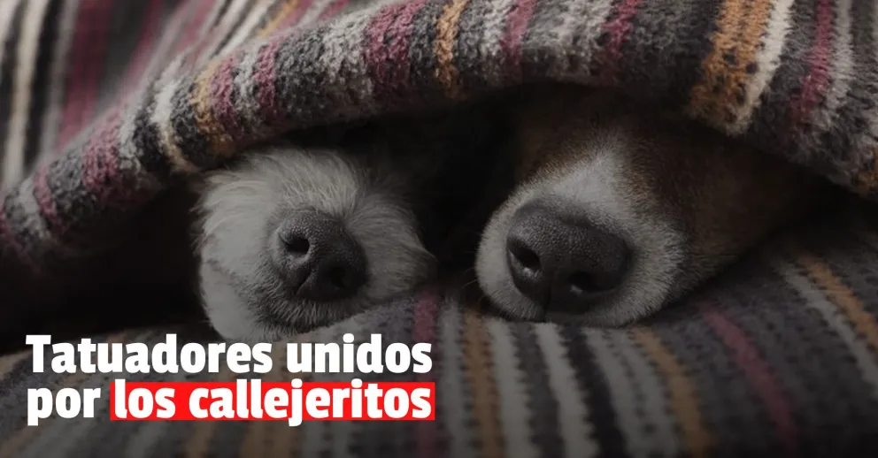 Tatuadores sanjuaninos realizan una actividad solidaria para abrigar a perros que están en la calle