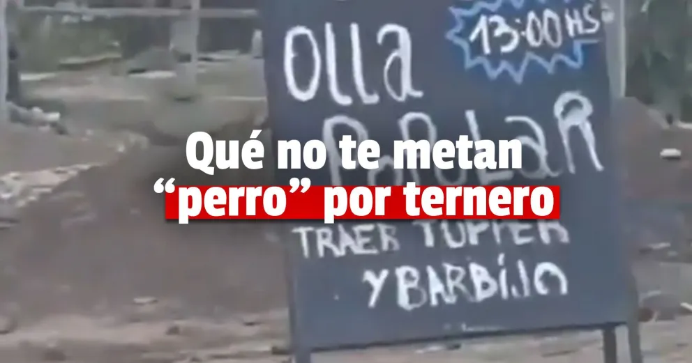 La verdad detrás del video viral del "guiso de perro" en Quilmes
