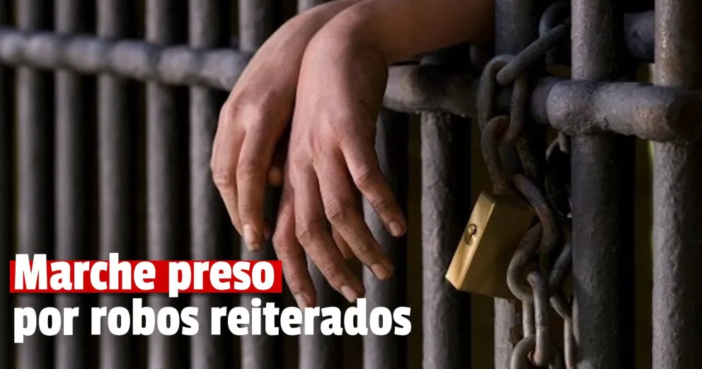 Condenaron a 3 años y 10 meses de prisión a un ladrón de autos reincidente