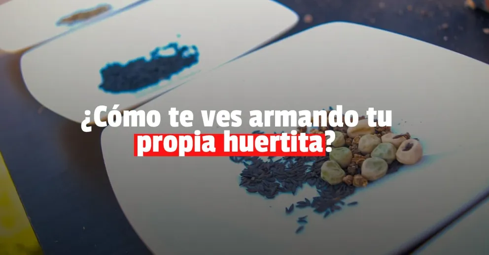 ¿Sos de Capital? Podés armar tu propia huerta