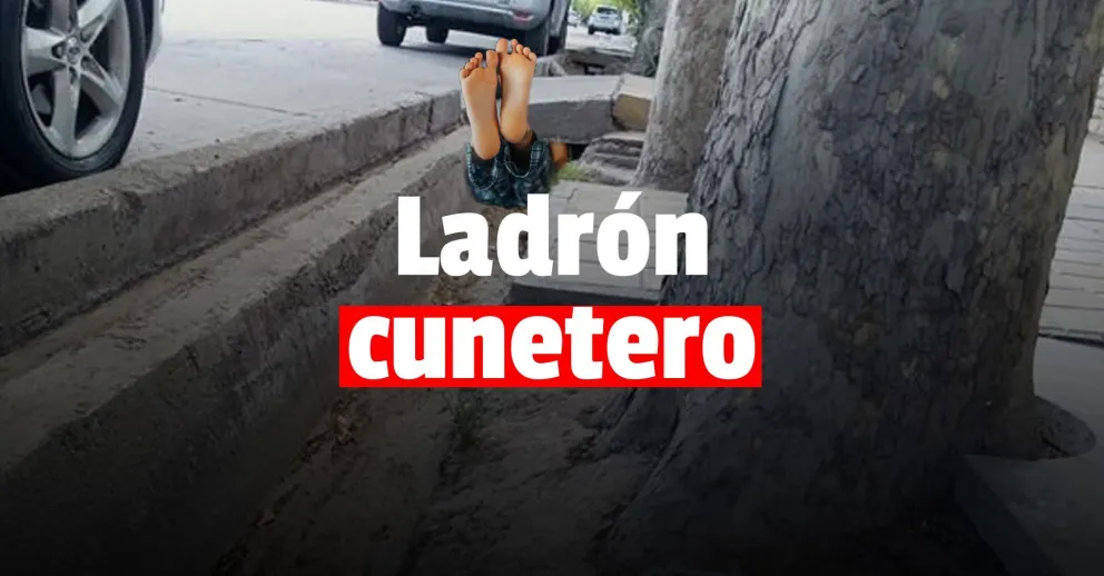 Robó en una casa y se quiso esconder en una cuneta