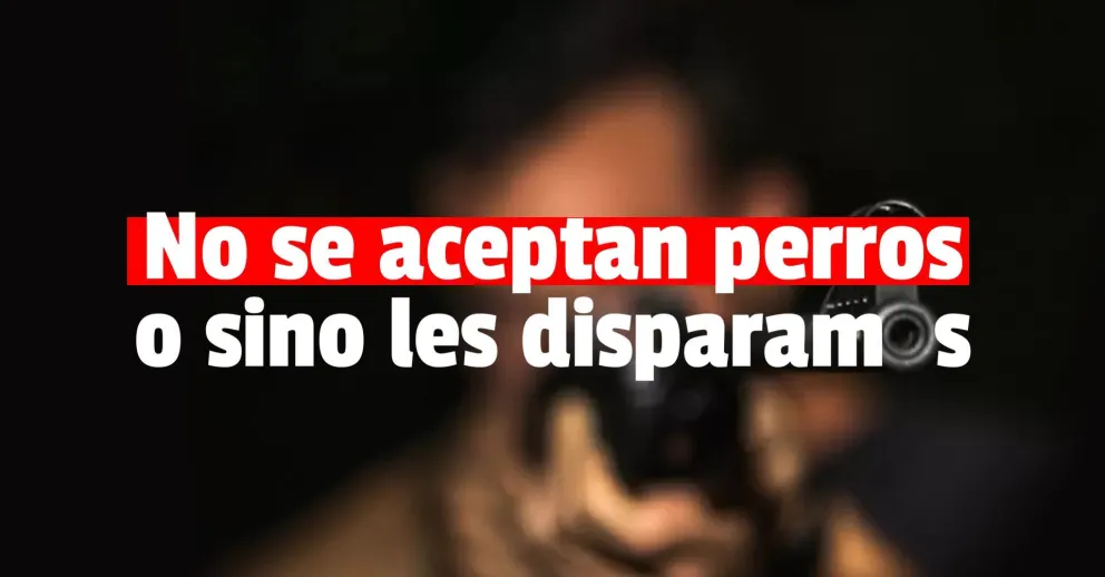 El dueño de una casa le disparó al perro de su inquilina
