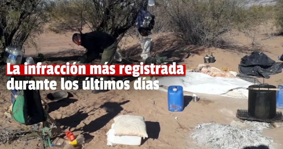 Depredación de fauna: en los últimos días se encontraron a 20 personas cazando