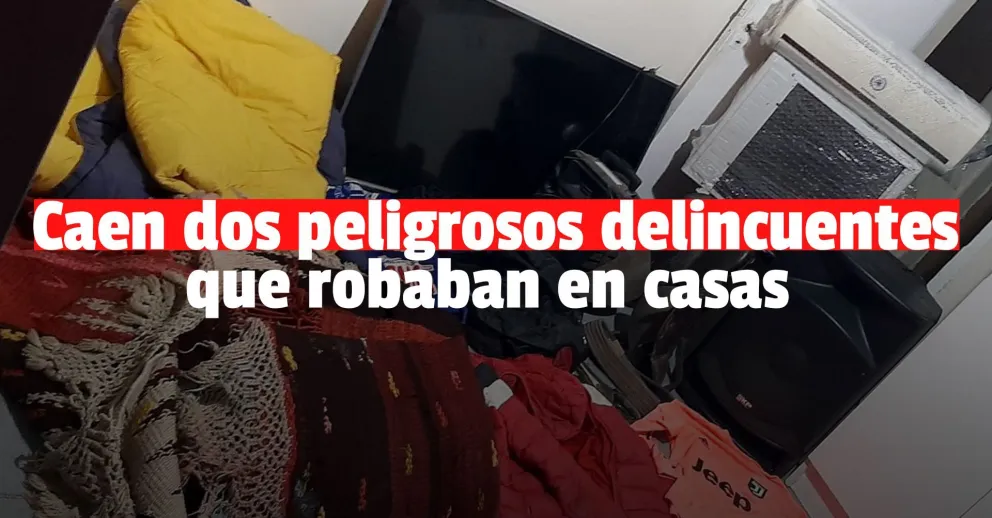 Detienen por robos en domicilios a dos peligrosos ladrones