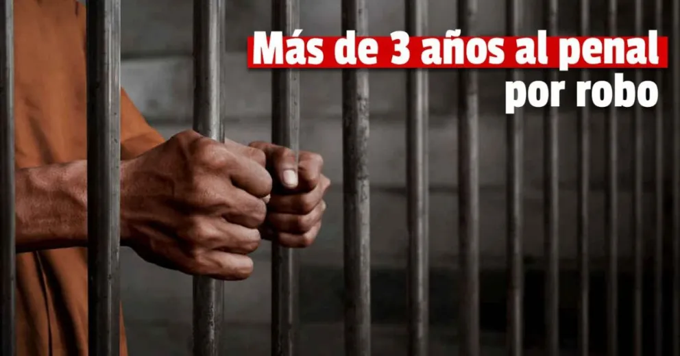Condenaron a 3 años y 6 meses de prisión a un violento ladrón