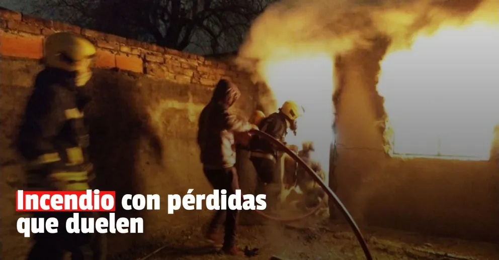 Dejaron la estufa prendida, causó un incendio y tres cachorritos murieron quemados