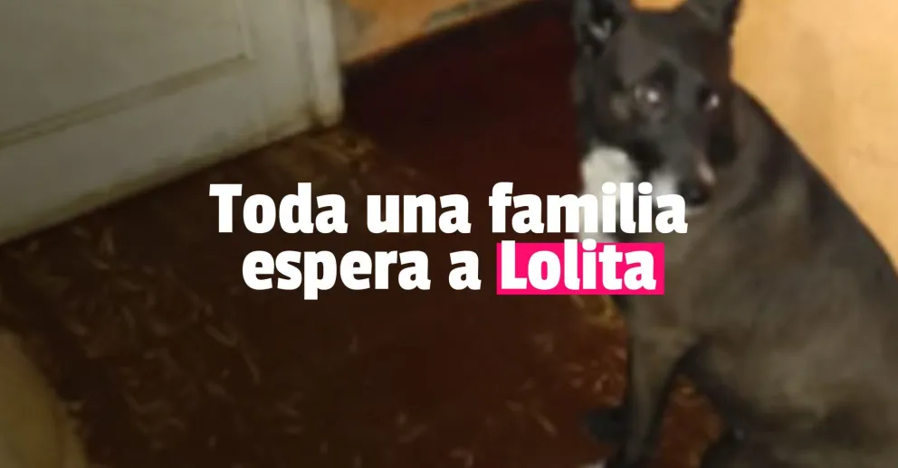 Lolita se perdió y su familia la busca desesperadamente