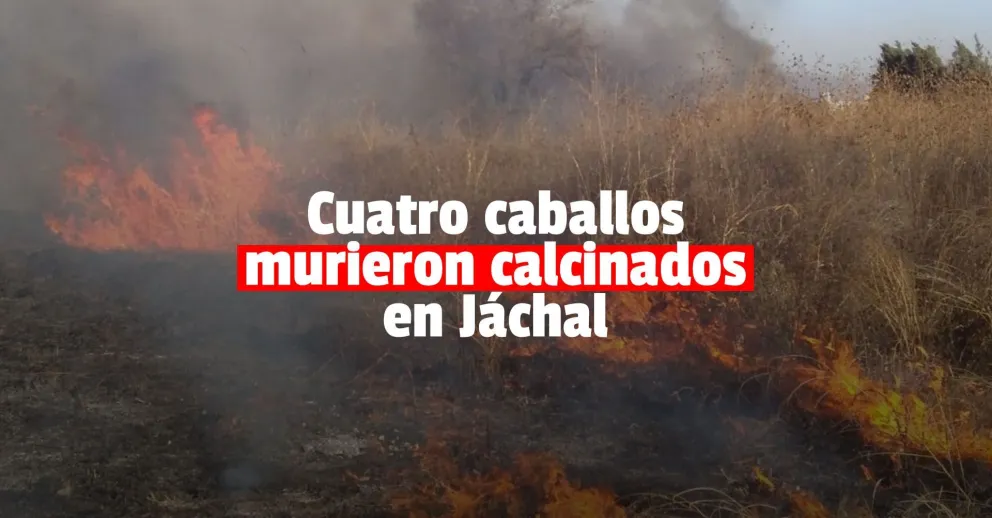 Incendiaron unos pastizales, el fuego alcanzó un corral y cuatro caballos murieron calcinados