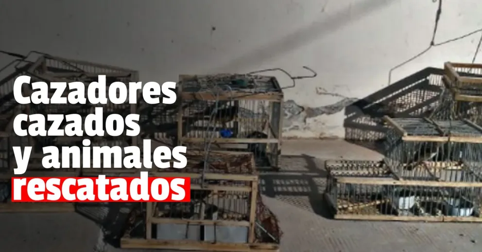 Medio Ambiente labró 12 actas por infracciones contra la flora y la fauna