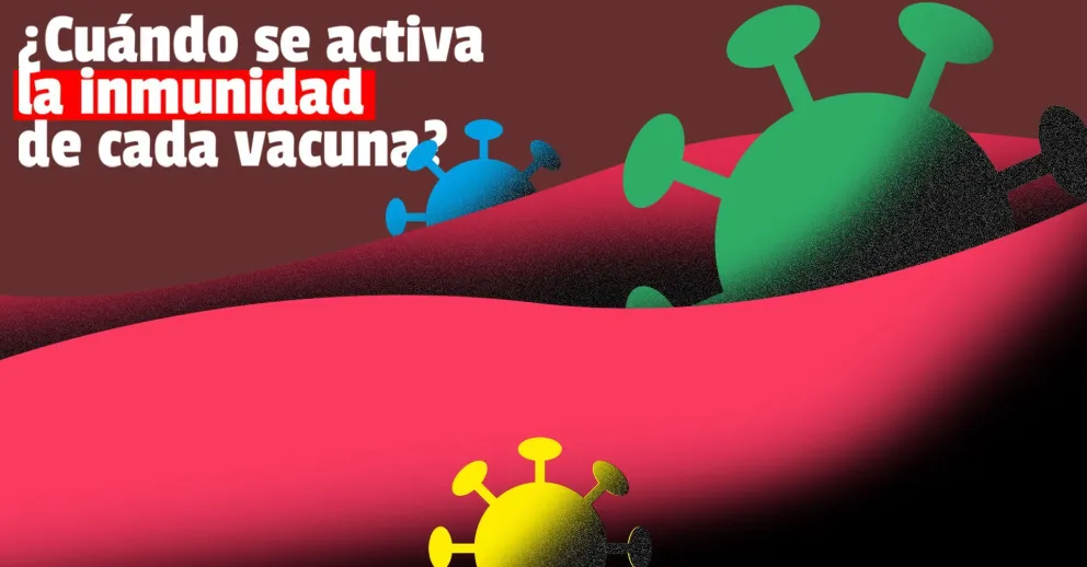 ¿Cuánto tardan las vacunas en generar inmunidad?