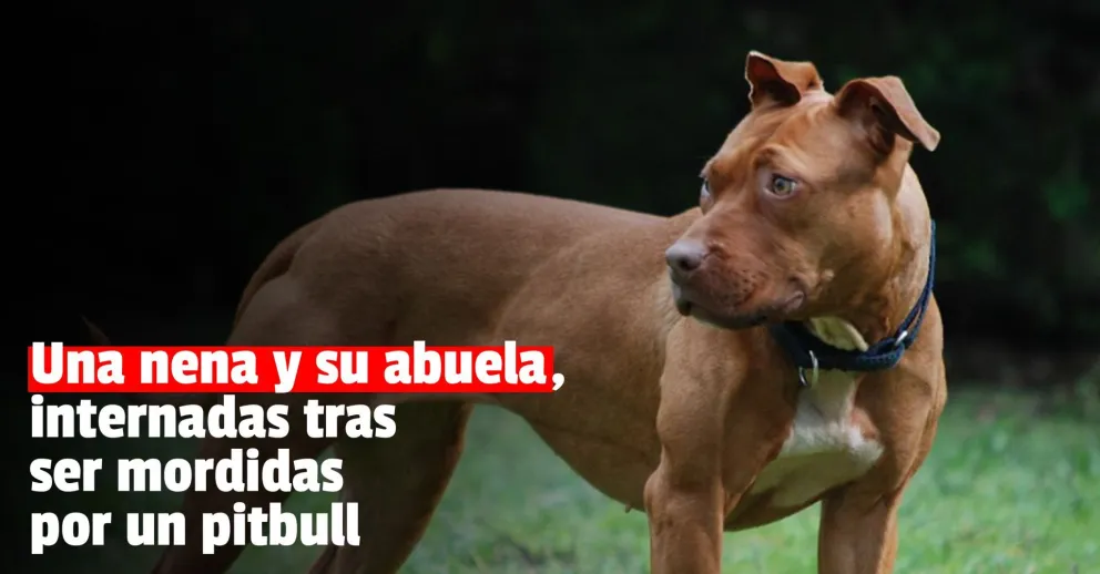 Un perro mordió a una nena y a su abuela