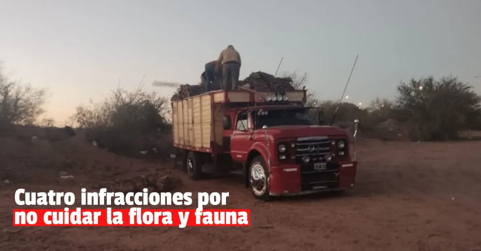 Depredación de flora: detuvieron a un camión que transportaba 8.000 kilos de algarrobo