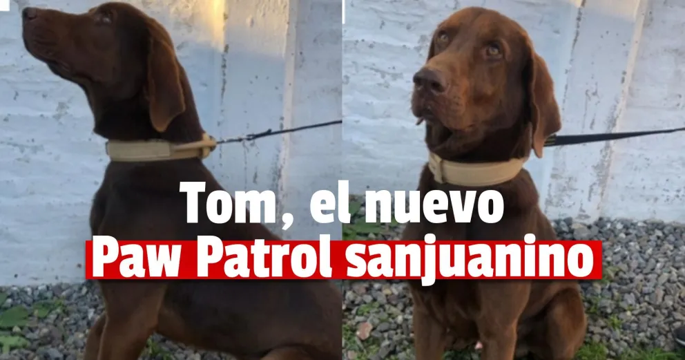 La Federal suma a un nuevo integrante: conocé a Tom, el can que se une a la fuerza
