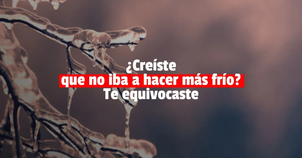 Se viene el viento sur y el ingreso de un frente frío para el fin de semana