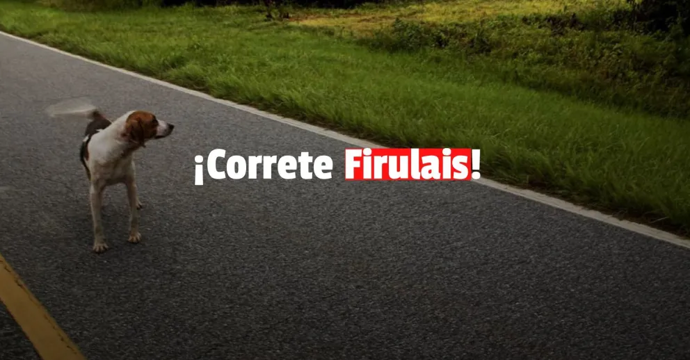 Se le cruzó un perro, lo esquivó pero se estrelló contra un árbol