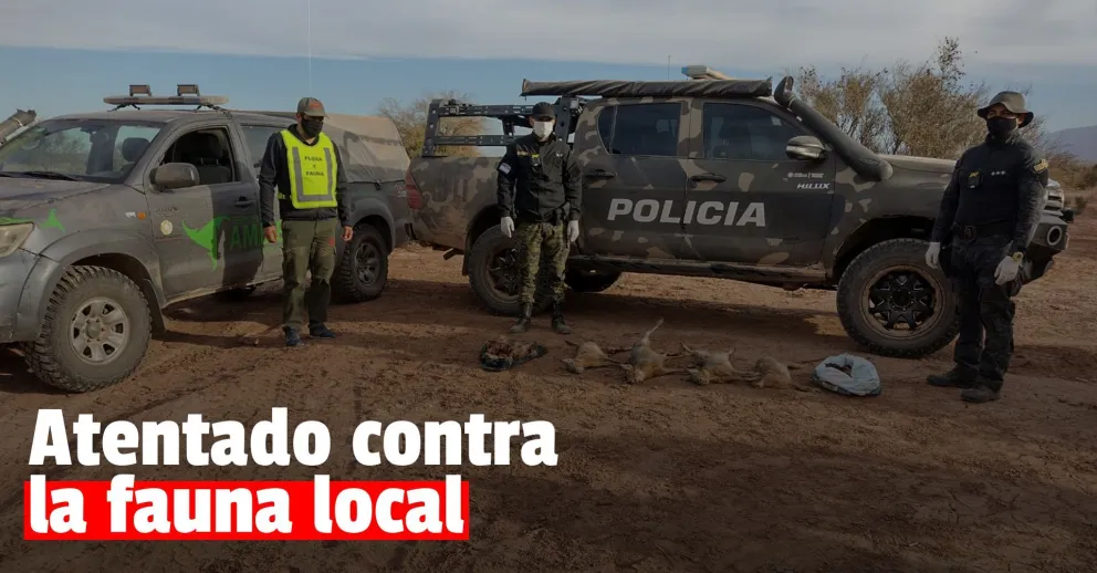 Detuvieron a dos grupos de personas mientras cazaban liebres