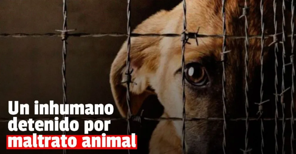 Detuvieron  a un hombre por arrastrar a un perro desde una moto