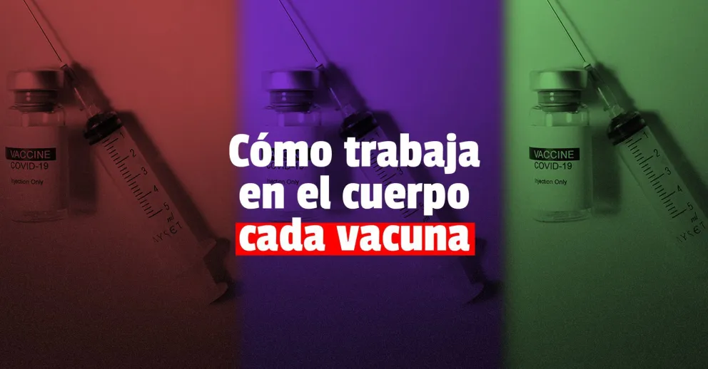 Inmunidad contra el coronavirus: ¿cuánto demora cada vacuna?