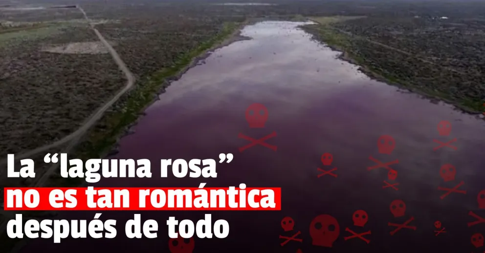 Una laguna amaneció rosada y sospechan que está contaminada