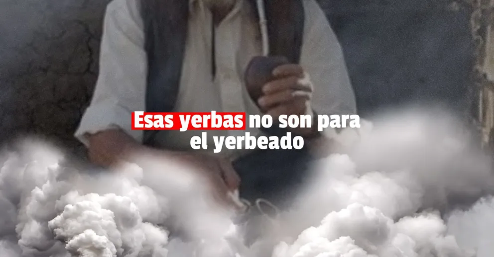 Secuestraron más de 800 kilos de marihuana en Formosa: venía para San Juan