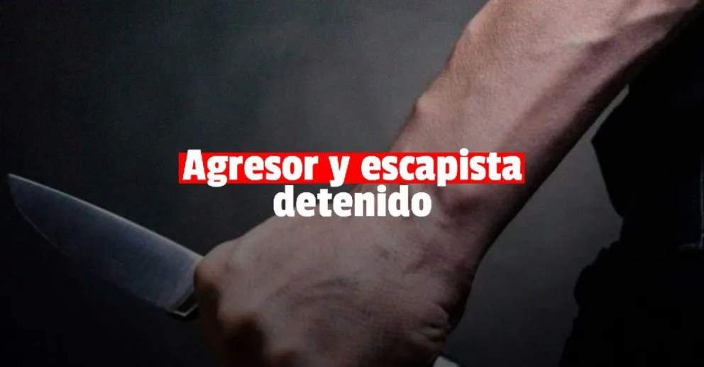 Le cortó el pómulo a su pareja e intentó darse a la fuga